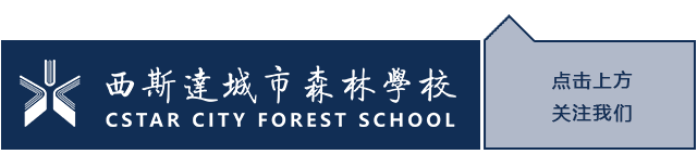 【校园动态】学会自律 成就未来——西斯达城市森林学校初中部召开线上“自律”主题班会